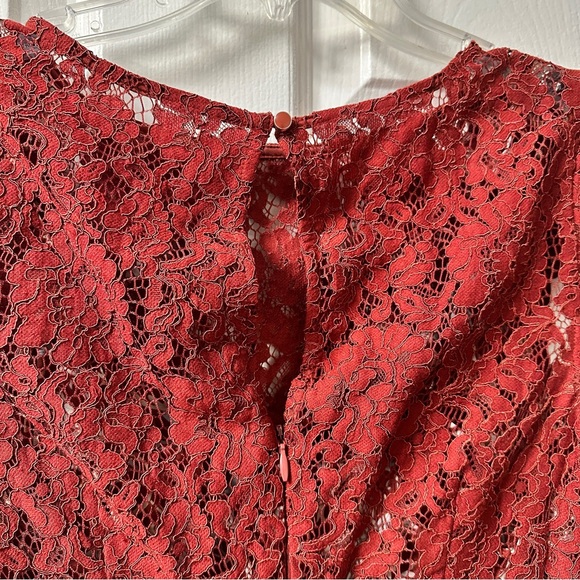 Plenty by Tracy Reese Lace Pleated Dress - Picture 6 of 9